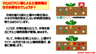 土壌消毒はなぜ必要なのか